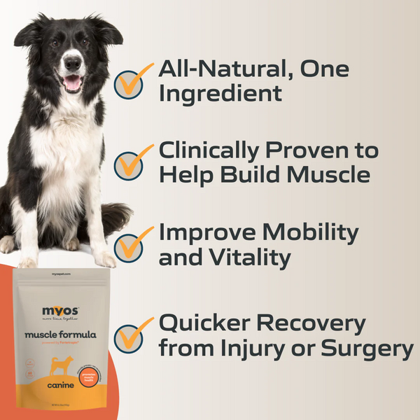 MYOS Canine Muscle Formula