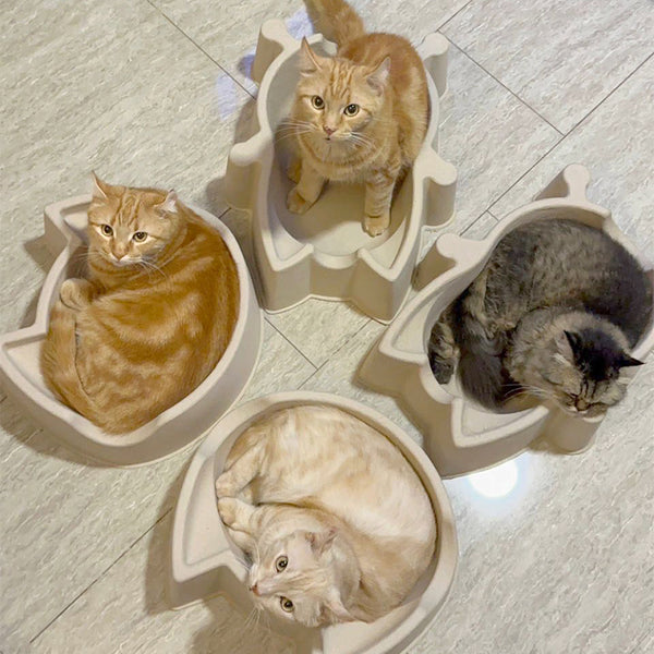 CAT BANG Basket Bed