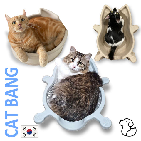 CAT BANG Basket Bed
