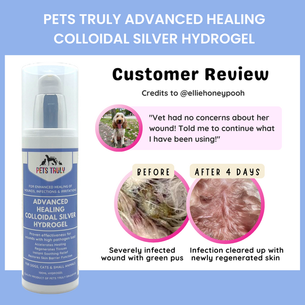 Pets Truly Colloidal Silver in Electrolyzed Water