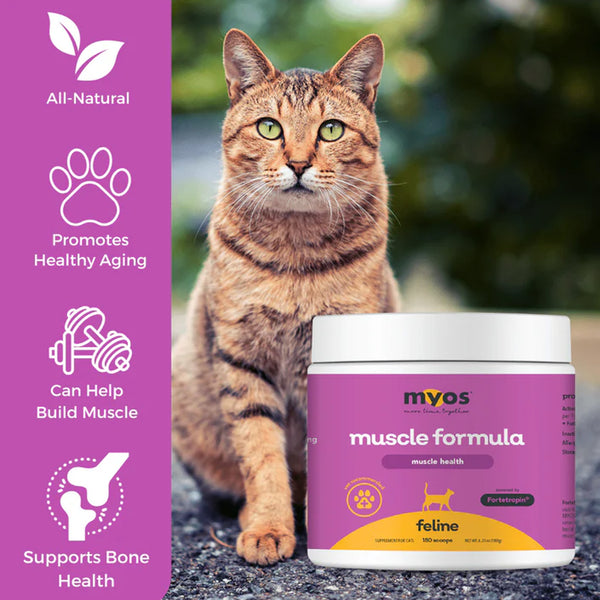 MYOS Feline Muscle Formula 180g