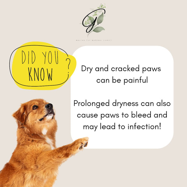 Paw and Nose Balm for Cats & Dogs