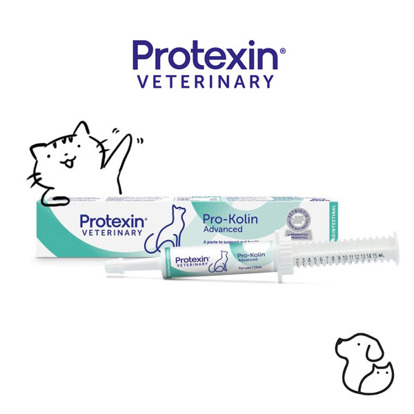 PROTEXIN Pro-Kolin Advanced for Cats 15ML