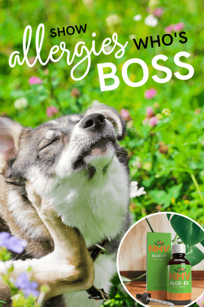 Alge-Ex for Environmental and Seasonal Allergies
