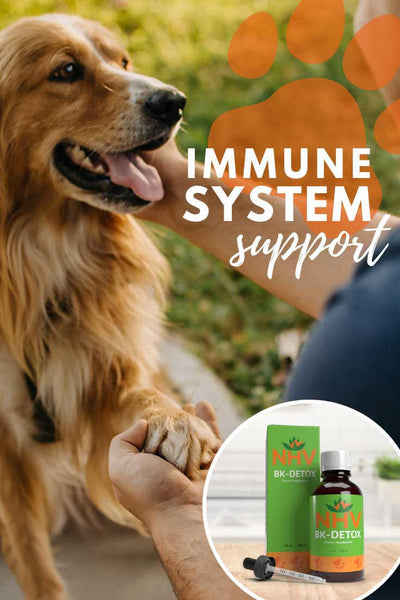 BK Detox for Internal Cleansing & Immune System Support