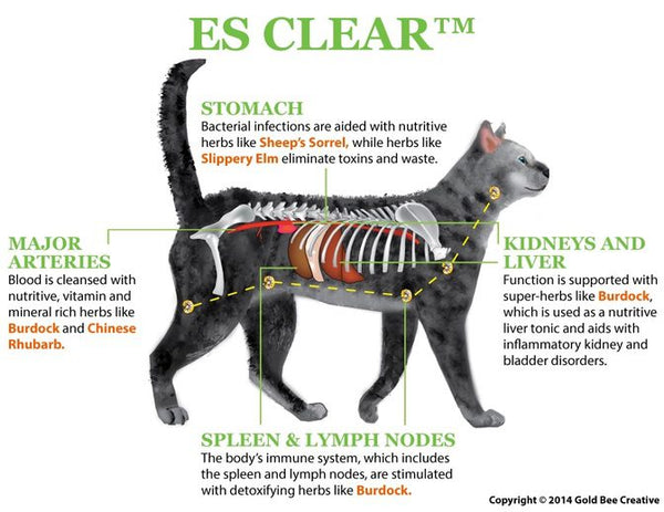 ES Clear for Cancer Support