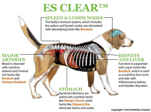 ES Clear for Cancer Support