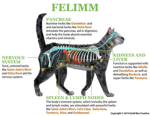 Felimm for Immune Support - Great for FeLV / FIV Cats