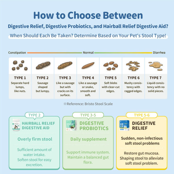 Digestive Relief for Dogs and Cats