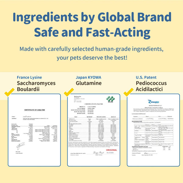 Digestive Relief for Dogs and Cats