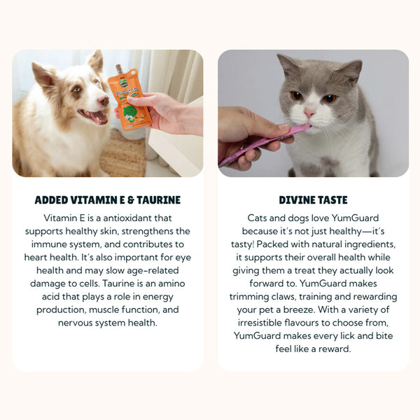 Proudi YumGuard Paste Rica for Dogs and Cats