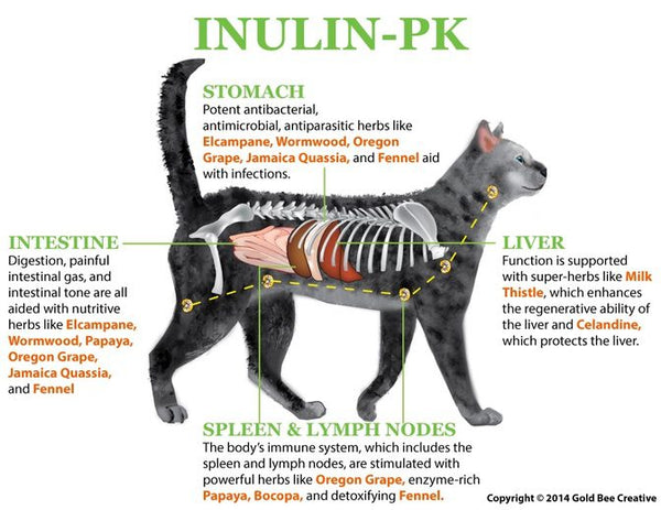 Inulin PK for Parasite Support