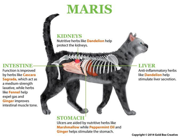 Maris for Constipation Support