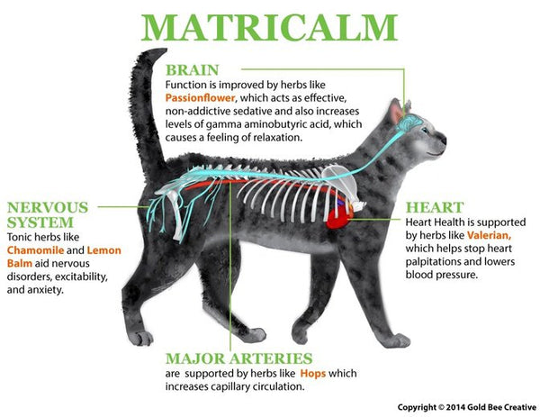 Matricalm Anxiety & Aggression Support