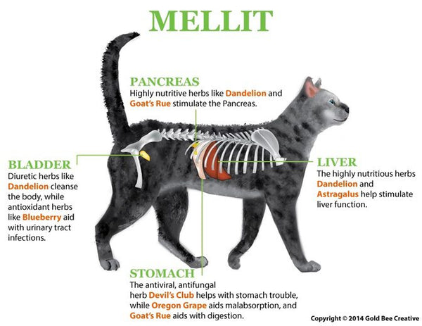 Mellit for Diabetes Mellitus & Pancreatitis Support