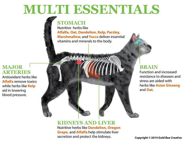 Multi Essentials for Cats & Dogs
