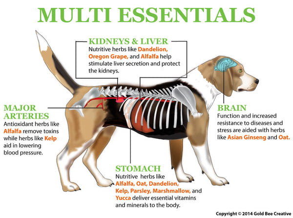 Multi Essentials for Cats & Dogs