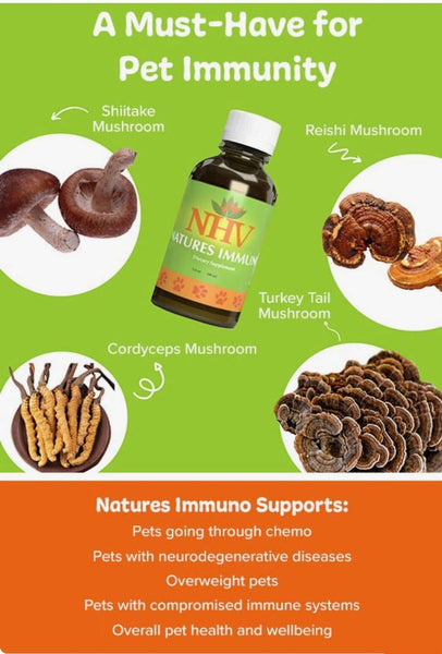Natures Immuno - Medicinal Mushroom Blend