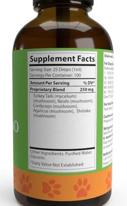Natures Immuno - Medicinal Mushroom Blend