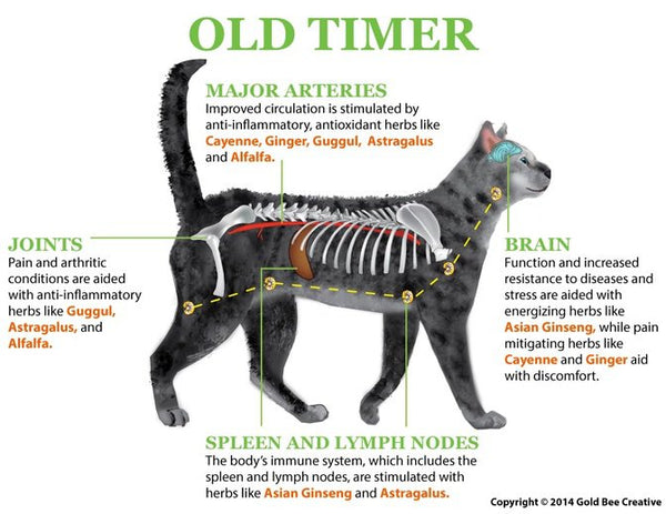 Old Timer for Arthritis, Muscle & Joint Support