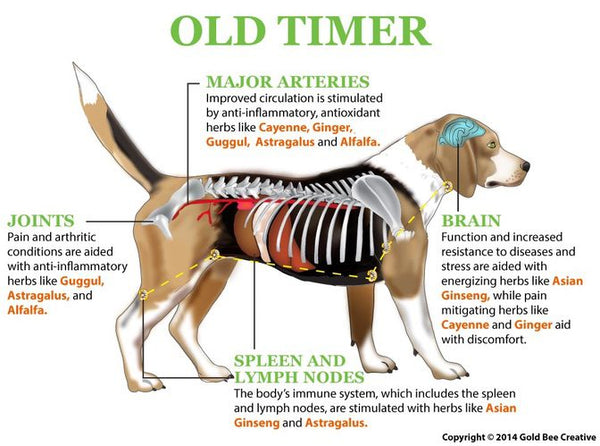 Old Timer for Arthritis, Muscle & Joint Support