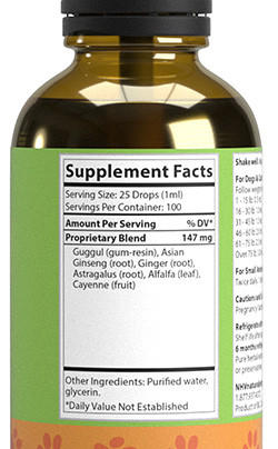 Old Timer for Arthritis, Muscle & Joint Support