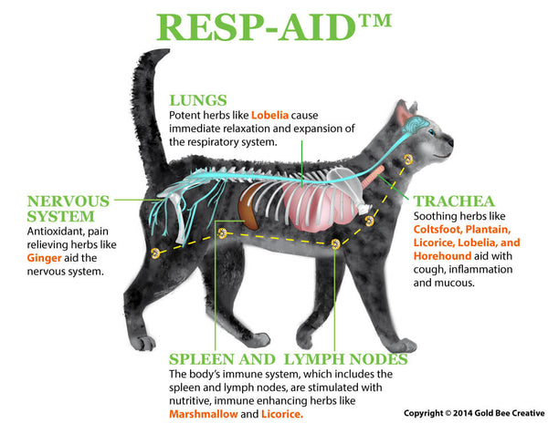 Resp-Aid for Respiratory Support