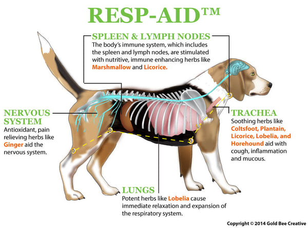 Resp-Aid for Respiratory Support