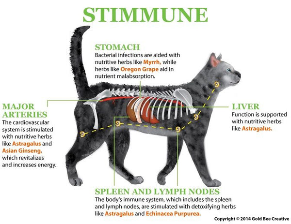 Stimmune for Immune & Allergy Support