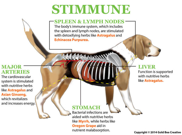 Stimmune for Immune & Allergy Support