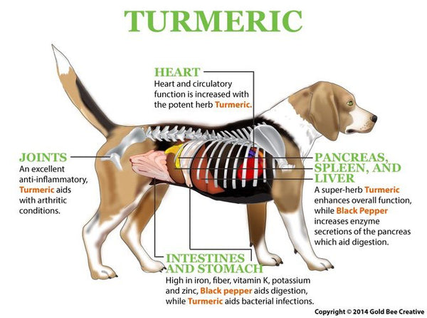 Turmeric for Arthritis & General Well-being