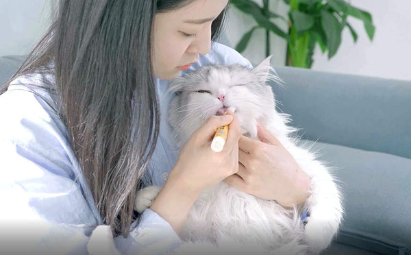 Chika Toothbrush Pen for Cats