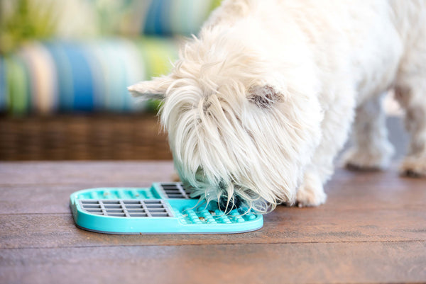 LICKIMAT® SLOMO for Cats and Dogs