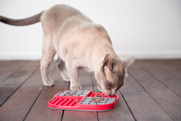 LICKIMAT® SLOMO for Cats and Dogs