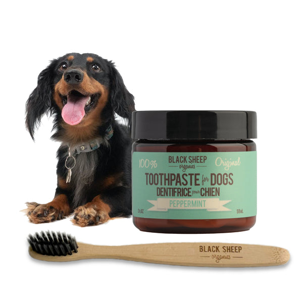 Peppermint Organic Toothpaste for dogs