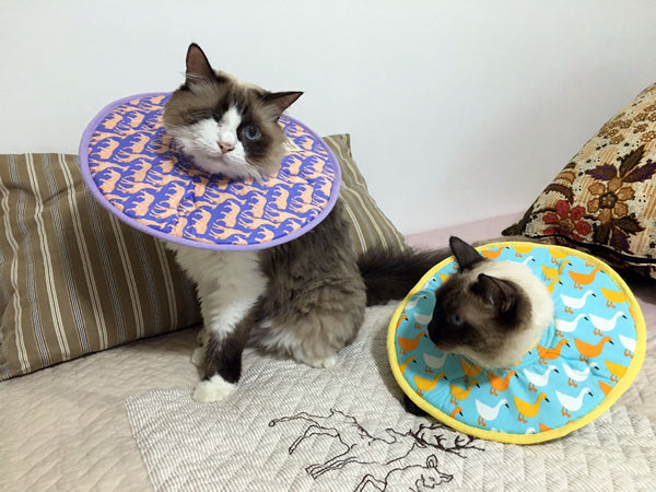 Handmade Elizabeth E-Collar / Soft Collar for Cats and Kittens