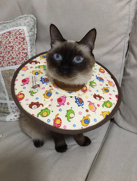 Handmade Elizabeth E-Collar / Soft Collar for Cats and Kittens