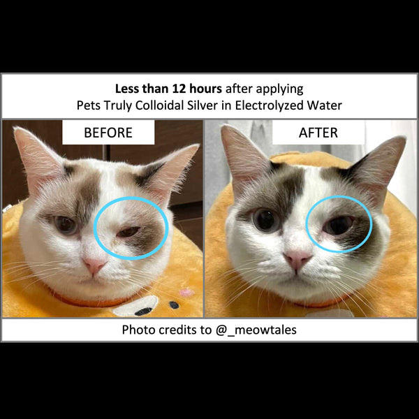 Pets Truly Colloidal Silver in Electrolyzed Water