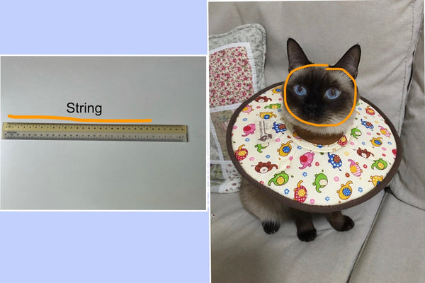 Handmade Elizabeth E-Collar / Soft Collar for Cats and Kittens