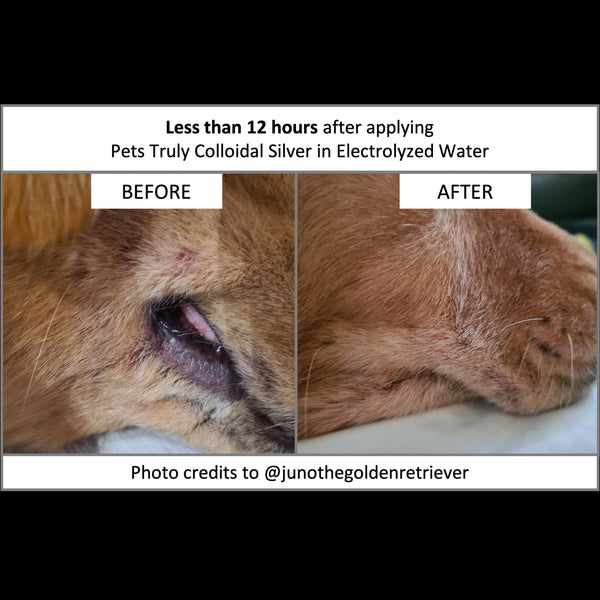 Pets Truly Colloidal Silver in Electrolyzed Water