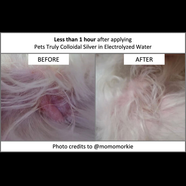 Pets Truly Colloidal Silver in Electrolyzed Water