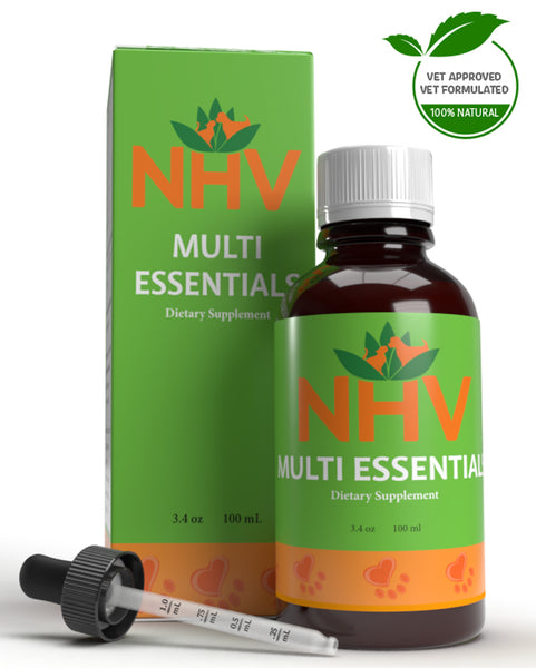 [High Quality Must-Have Pet Care Products For Dogs & Cats]-Paws and Patch