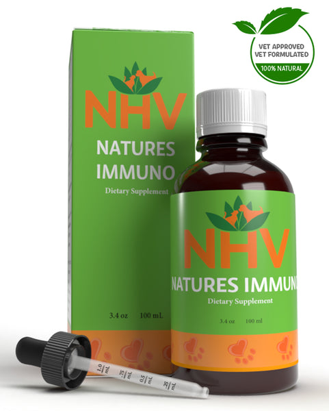 [High Quality Must-Have Pet Care Products For Dogs & Cats]-Paws and Patch