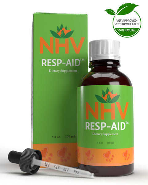 [High Quality Must-Have Pet Care Products For Dogs & Cats]-Paws and Patch
